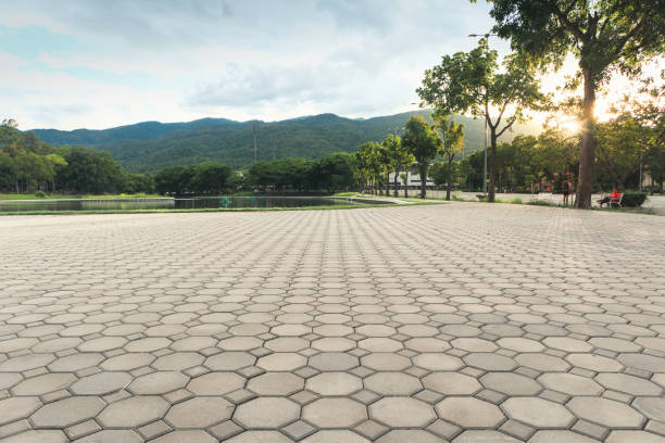 Professional Driveway Pavers in Lakeview, CA
